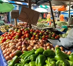 Frutas - hortifrutas