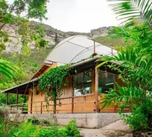 Associação Chapada Diamantina de Pacientes e Estudos da Medicina Canábica - ACDC