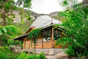 Associação Chapada Diamantina de Pacientes e Estudos da Medicina Canábica - ACDC